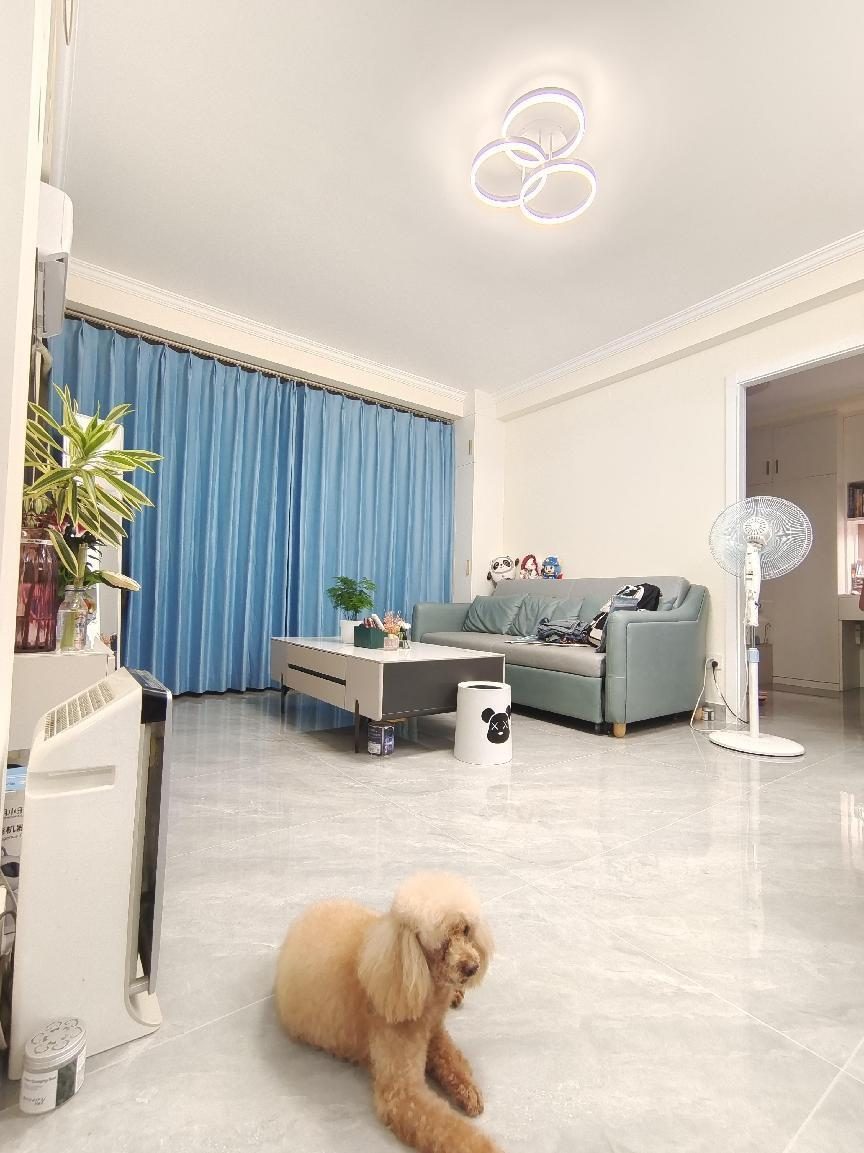 客厅（净醛360+投影漆）